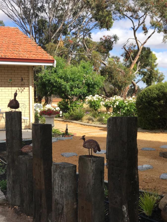 Yellow Gum Bed And Breakfast Katanning Extérieur photo