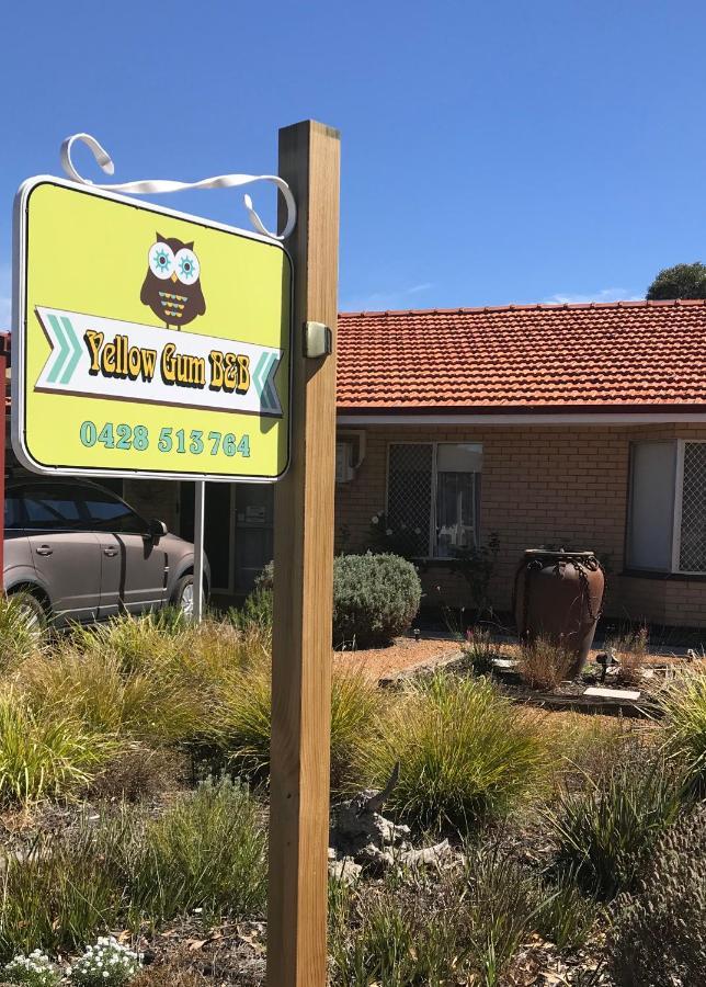 Yellow Gum Bed And Breakfast Katanning Extérieur photo