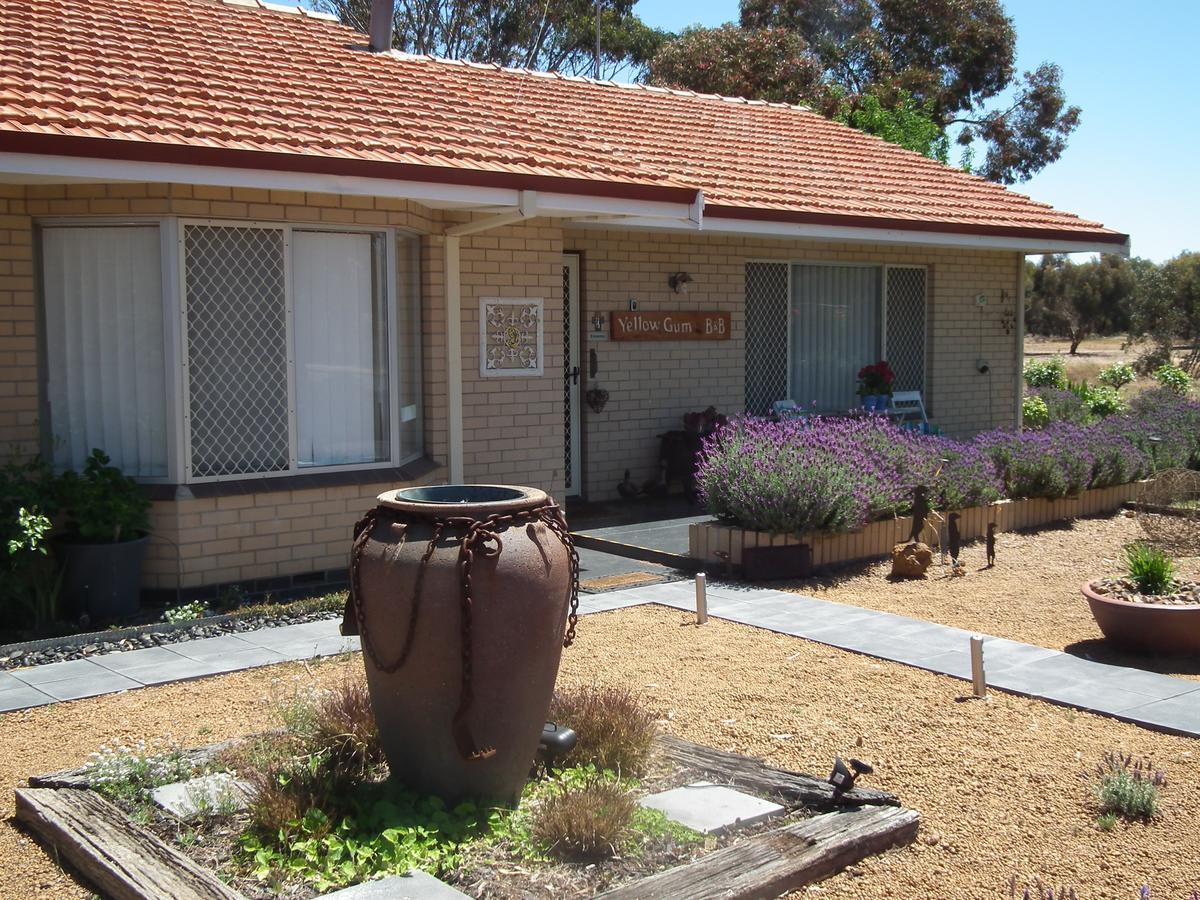 Yellow Gum Bed And Breakfast Katanning Extérieur photo