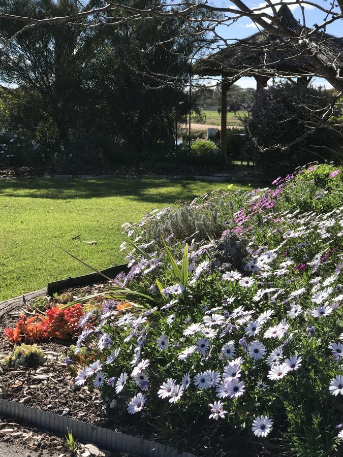 Yellow Gum Bed And Breakfast Katanning Extérieur photo